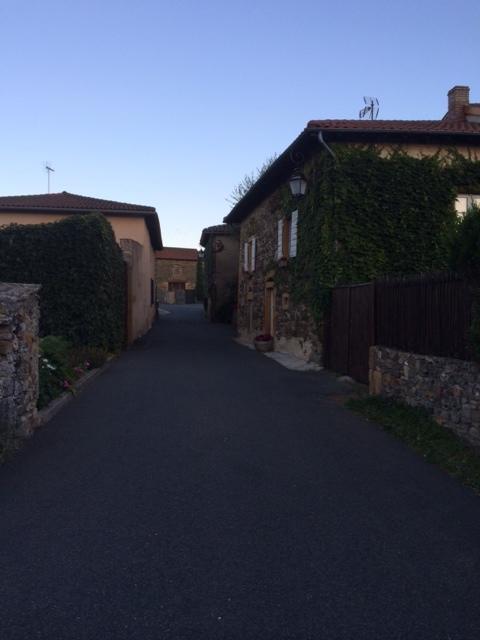 La Dame De Messignac Villa Ternand Exterior foto